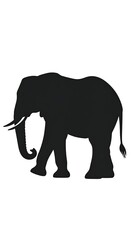 Fototapeta premium Silhouette of an elephant (2)