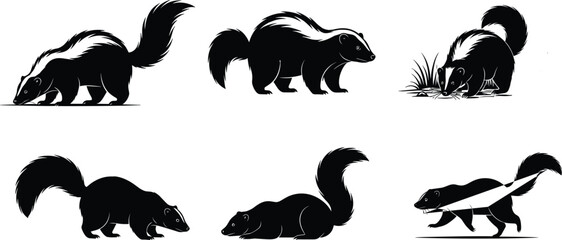 Skunk cartoon vector set with cute poses, wildlife animal illustrations, black and white furry creatures for educational and commercial use