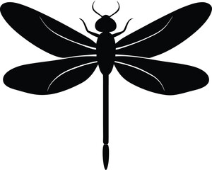 A beautiful dragonfly vector illustration with detailed wings and a sleek silhouette isolated on white that captures the essence of this insect in nature