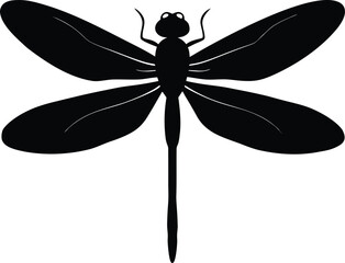 A green dragonfly insect animal with wings is a vector illustration flying on a white background