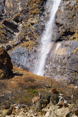Mountain goat pauses near a cascading waterfall