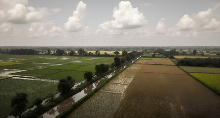 Flooded Rice Paddy Landscape