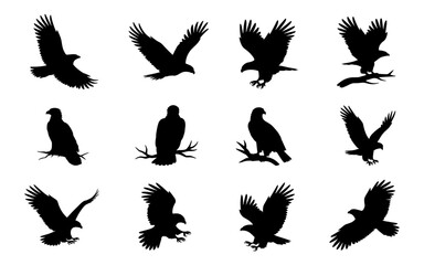 Obraz premium Eagle Silhouette Set Collection Vector Illustration
