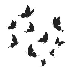 Collection of black butterfly silhouettes in various flying poses for decorative use isolated on white background