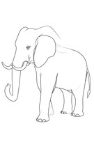 Obraz premium Simple line drawing of an elephant