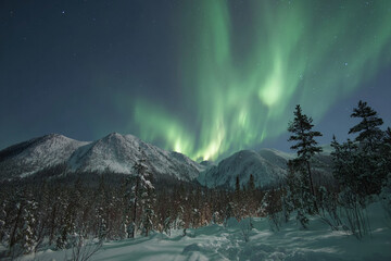 Naklejka premium Northern lights over snowy landscape, glowing colors in dark sky, magical winter scene