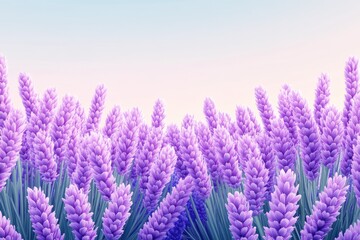 Lavender field, soft pastel colors, gentle light