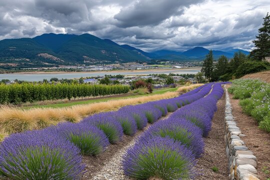 Lavender field rows stretch towards a distant mountain range, with a lake and town in the valley below. Storm clouds gather in the sky