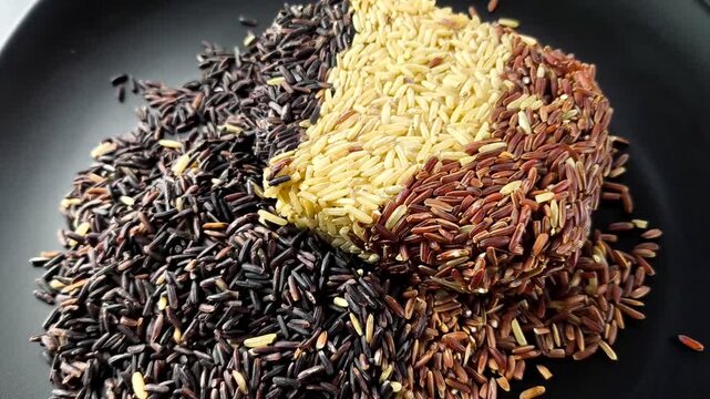 Pile of rice berry, brown rice and red cargo rice, in door Chiangmai Thailand. 