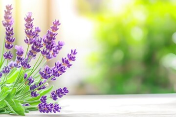 Close-up of lavender sprigs on a light wooden surface, soft-focus background of green foliage and sunlight
