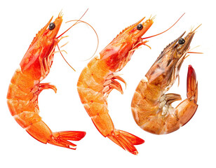 Three cooked shrimp, in varying shades of orange and brown, sit against black