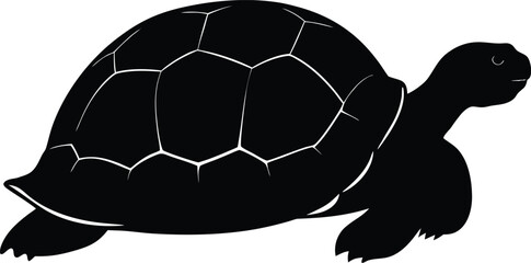 A playful turtle vector illustration is shown with a soccer ball resting on its shell, ready for a fun game on a white background