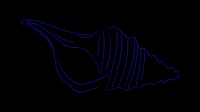 Animated sketch of a shell with a dry pastel effect. Alpha channel
