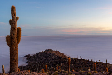 Incahuasi island at sunrise with Uyuni salt flat or Salar de Uyuni , Aitiplano, Bolivia.