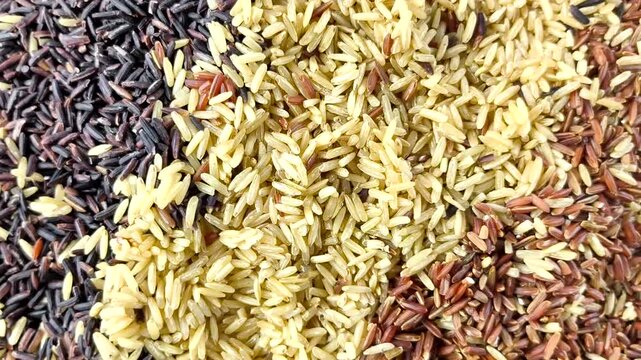 Pile of rice berry, brown rice and red cargo rice, in door Chiangmai Thailand. 