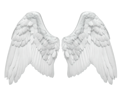 Fluffy white feathered wings spread open against a transparent, black background - Powered by Adobe