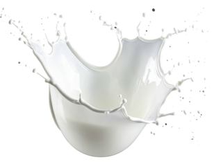 Dramatic milk splash, high speed photography captures the liquid's movement