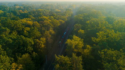A passenger train traveling through a forest on a foggy autumn morning, symbolizing ecological and environmentally friendly public transport.