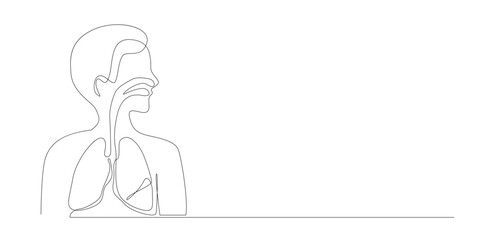 Human Respiratory System One Line Drawing, Isolated on White Background.