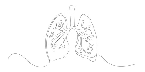 Lungs Continuous Line Drawing, Isolated on White Background