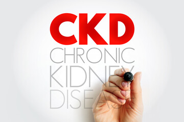 Fototapeta premium CKD Chronic Kidney Disease - gradual loss of kidney function over a period of months to years, acronym text concept background