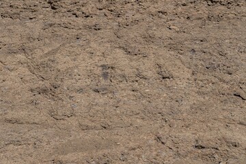 ( TI ) Absaroka Volcanic Supergroup - Thorofare Creek Group - Langford Formation. Lake Butte Overlook , Yellowstone National Park, Wyoming.