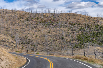 Lake Butte Overlook, Yellowstone National Park, Wyoming. 
