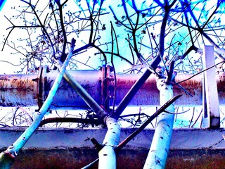 木と錆びたパイプが交差するインダストリアル風景