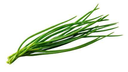 Fototapeta premium Chive sprig background isolated on a Transparent background, PNG file.