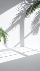 Palm shadows on a white room