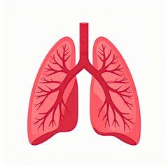 Red diagram of lungs and bronchi