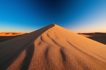Luminous fern plant illuminated by a bright spotlight from above