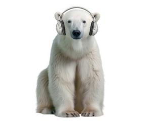 Silly polar bear with cool headphones listening to music. funny arctic animal enjoying song, humorous concept on transparent background for whimsical design