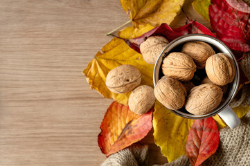 A small cup filled with walnuts surrounded by colorful autumn leaves.