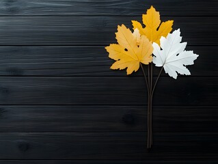 Obraz premium Autumn Leaves on Dark Wood Background Flatlay Photography