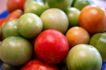 Closeup of green unripe and red ripe tomatoes together. Fresh organic harvest, mix of ripening tomatoes for cooking or preserving.