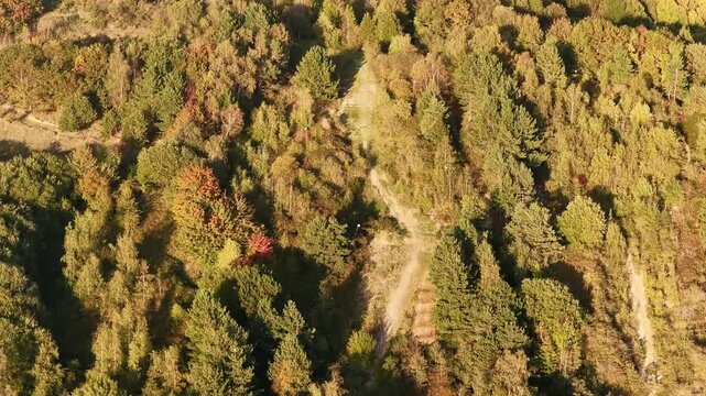 Aerial view of Sheffield Ski Village shows winding dirt paths through autumn-colored forest, with faded slope outlines and signs of natural regrowth across the Parkwood Springs hillside