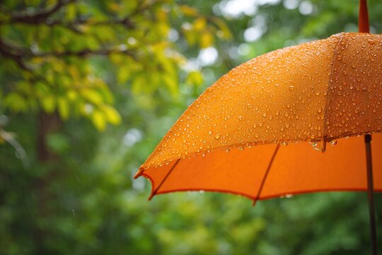 A vibrant orange umbrella, glistening with raindrops, amidst lush, green foliage