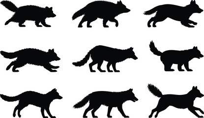 Wolf silhouette vector set, black wolf poses, animal movement illustration, wild canine clipart, walking running standing wolves, wildlife design
