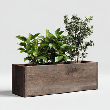 Modern wooden planter box containing lush green plants and small white flowers, set against plain background, exudes fresh and natural vibe