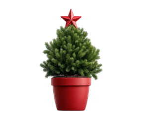 Festive tabletop Christmas tree in red pot with red star. This simple, joyful green holiday decoration brings seasonal cheer, an isolated element for any design