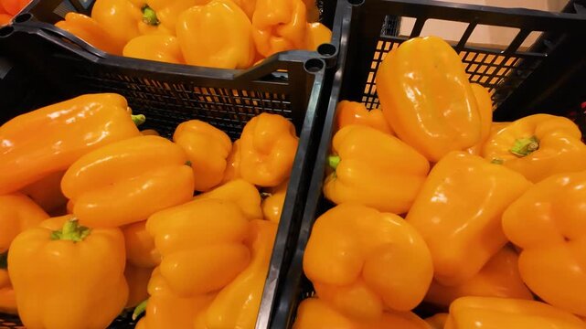 Yellow and red round sweet peppers in plastic boxes at the supermarket.