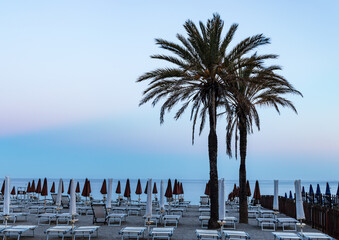 Palm trees and lying chairs at beach at sunset or sunrise finale di liguria italy
