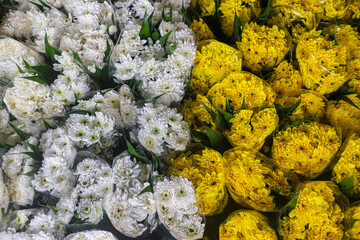 Dense bouquet of chrysanthemums with white blossoms on the left and bright yellow flowers on the right, creating a natural floral contrast and decorative background.