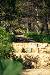 Stairs to Notre Dame de la Garde, Bonne M&egrave;re