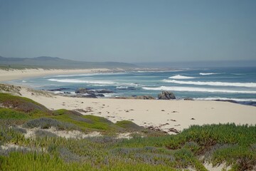 Wide coastal view of a sandy beach with waves crashing on the shore.  Vast, light blue sky.  Green vegetation near the water's edge