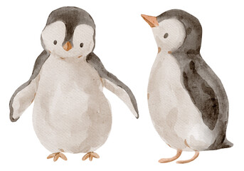 Watercolor Penguin Chicks, Cute Arctic Birds, Winter and Christmas Decor, Cards and Posters