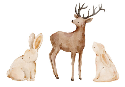 Watercolor Deer with Rabbits, Cute Woodland Animals, Winter and Christmas Design, Nursery Prints and Greeting Cards
