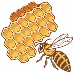 A single bee approaching a section of golden honeycomb on a white background Keywords: bee, honeycomb, honey, insect, apiary, beekeeping, nature, hexagon, cell, wax, sweet, food, production