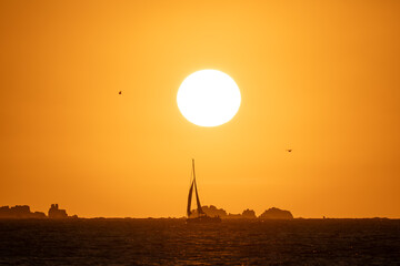A sailboat at sunset in golden light with a few rocks in the background	